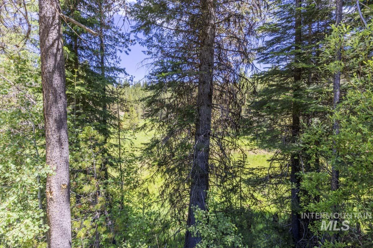 178 Tripod View Drive Cascade, ID 83611 - Photo 4 of 35