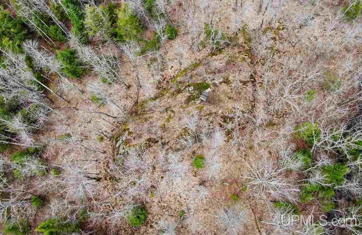 Tbd Dogpatch Road, Unit LOT I Lanse, MI 49946 - Photo 22 of 25