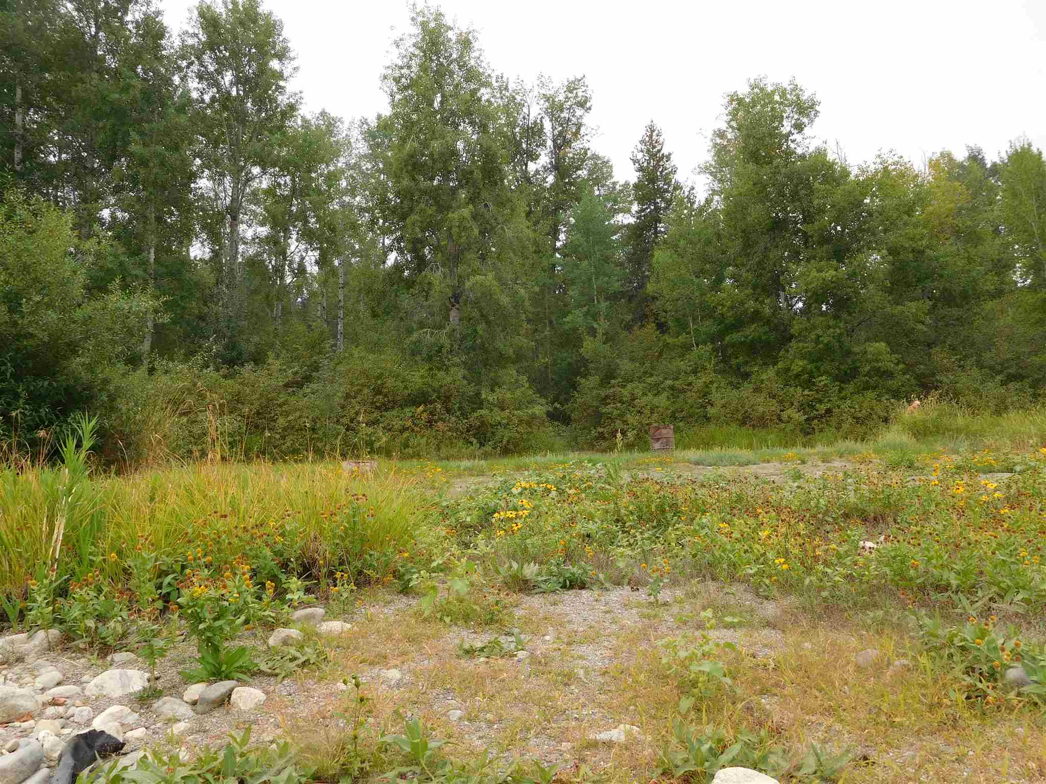 427661 State Rte 20 Newport, WA 99156 - Photo 5 of 9 Gallery Image 5