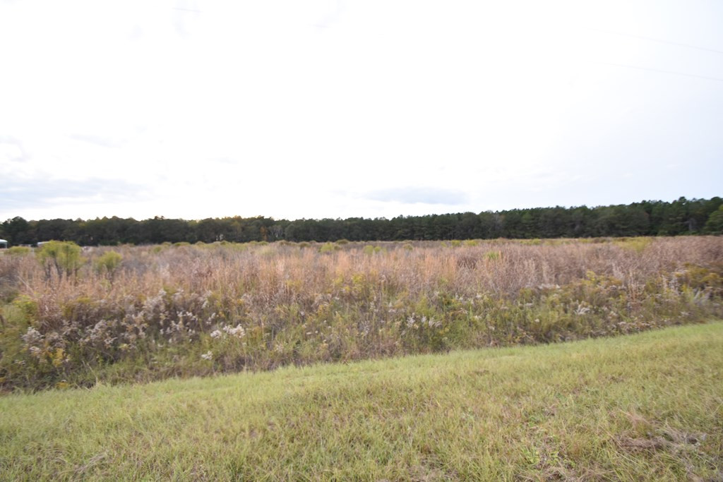 Lot 21 Bullrun Road Bishopville, SC 29010 - Photo 8 of 14 Gallery Image 8