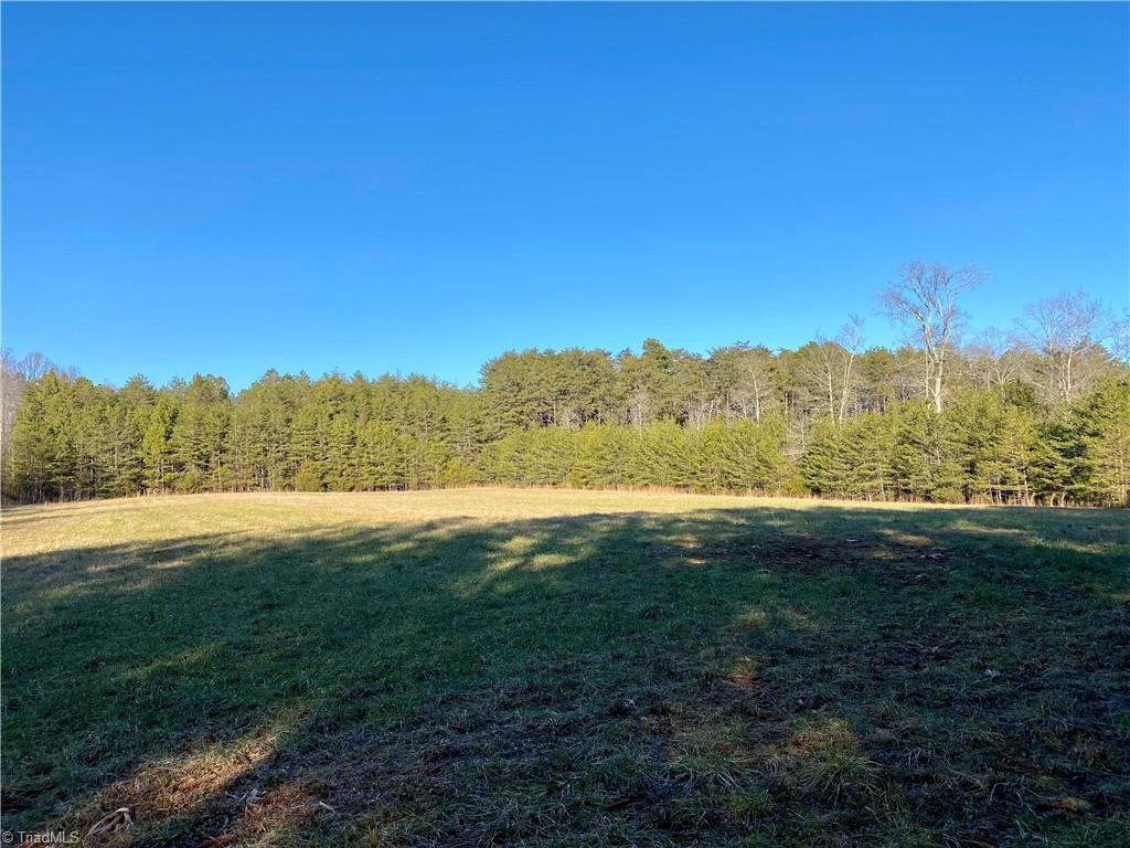 7254 Shoe Road Burlington, NC 27215 - Photo 7 of 7 Gallery Image 7