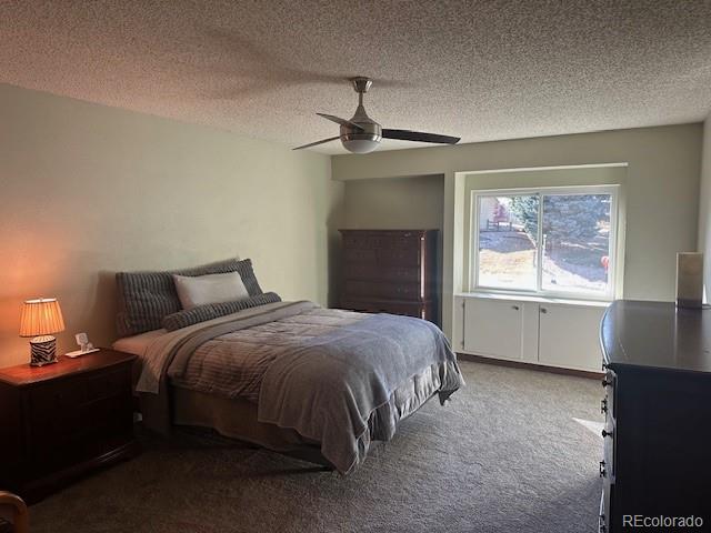 8865 Thunderbird Road Parker, CO 80134 - Photo 20 of 33 a bedroom with a bed and a window