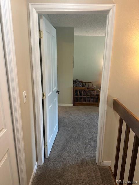 8865 Thunderbird Road Parker, CO 80134 - Photo 25 of 33 a view of walk in closet