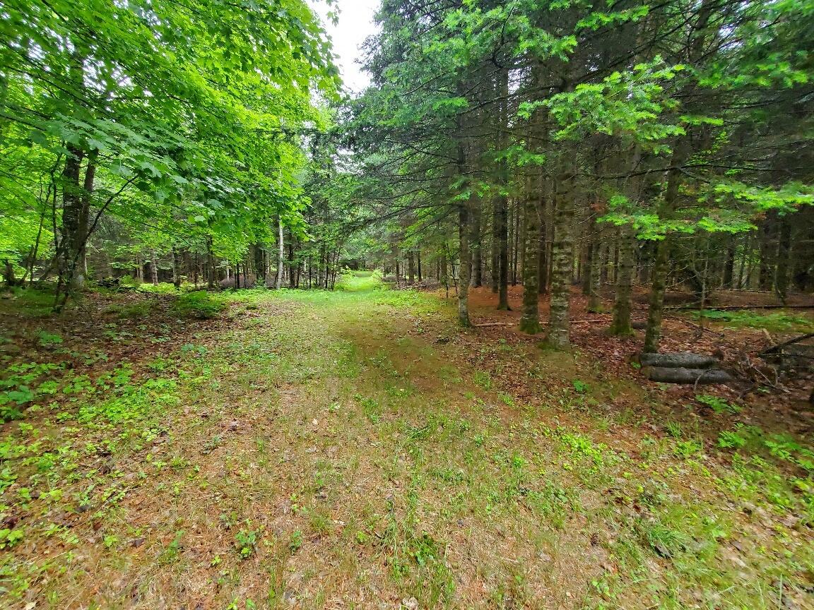 92 Huff Road Cornville, ME 04976 - Photo 75 of 121 great walking trails