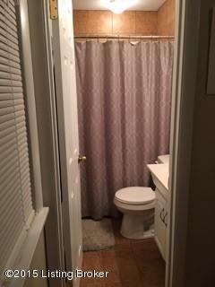 6514 Ridge Cliff Road Louisville, KY 40228 - Photo 23 of 46 2nd bath pic 2