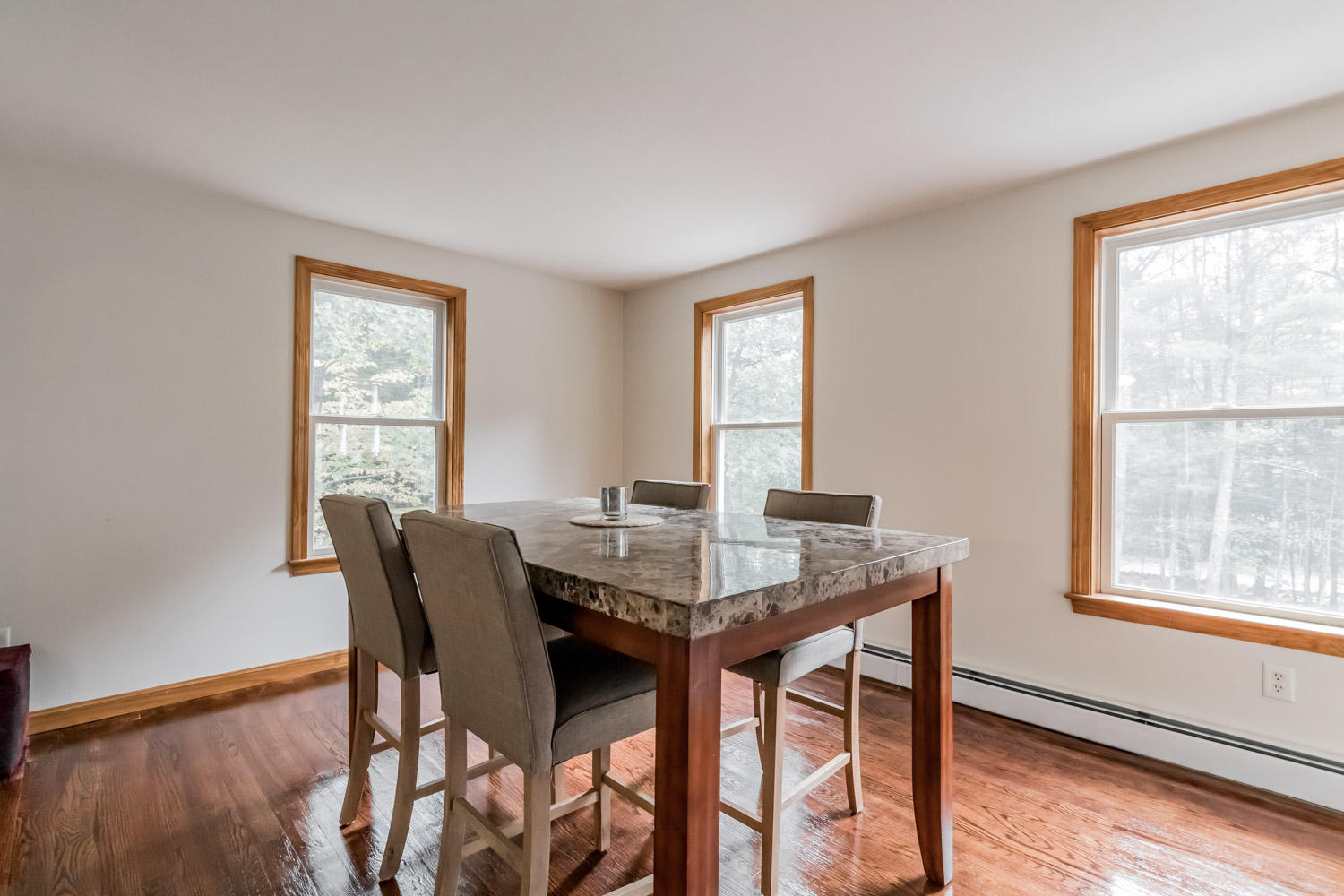 65 Thyngs Mill Road North Waterboro, ME 04061 - Photo 15 of 35 20190926-81029