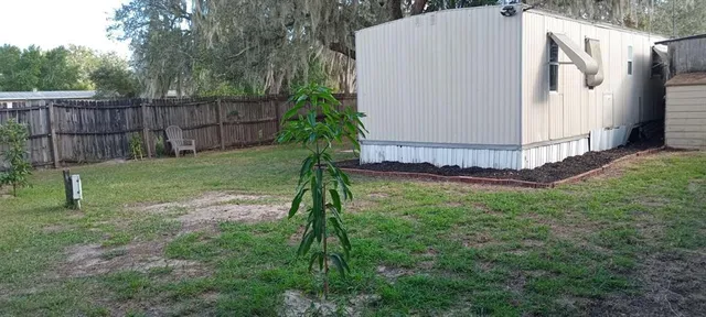 a view of a back yard of the house