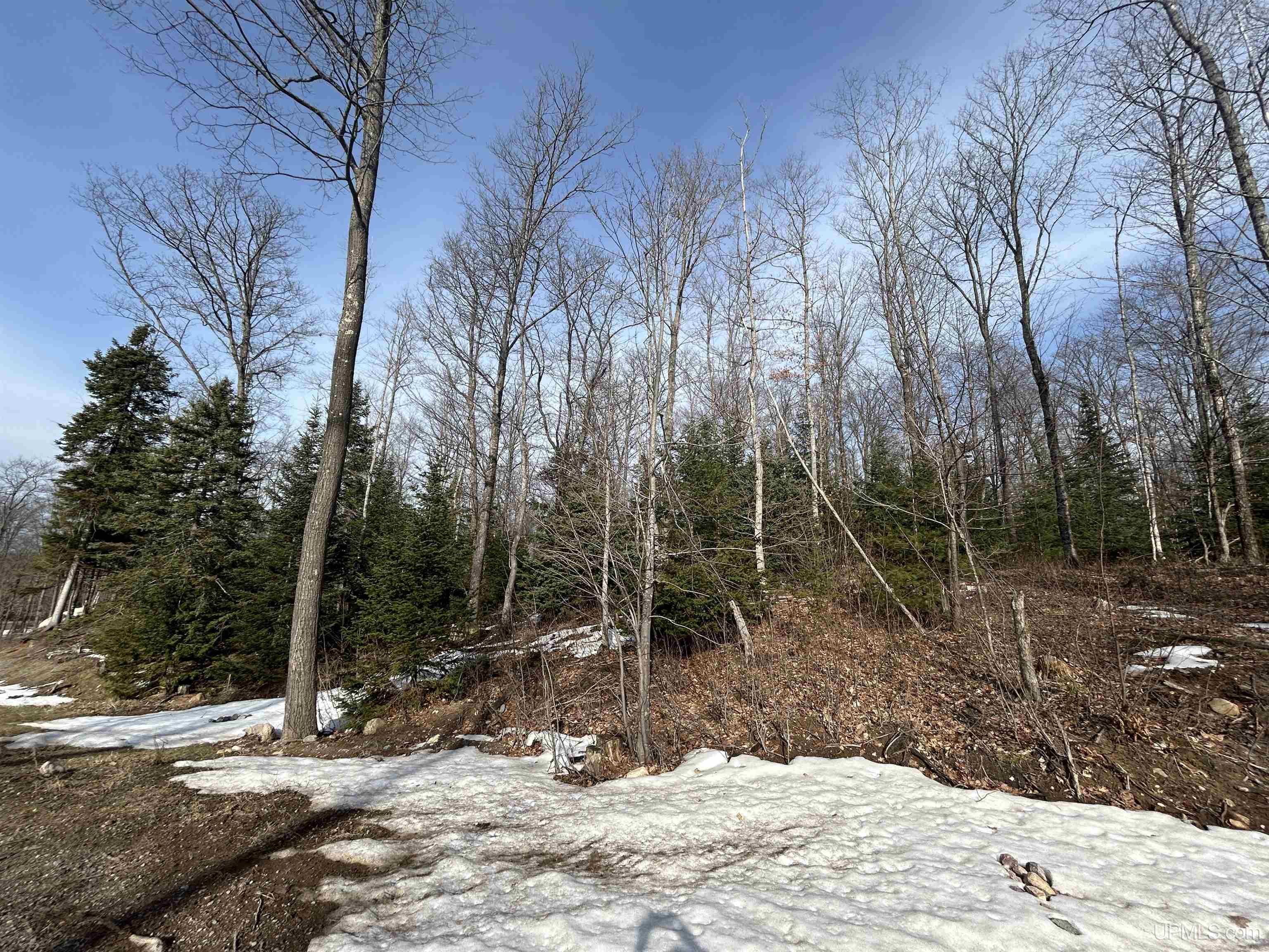 1 B Bridgeview Lane Negaunee, MI 49866 - Photo 18 of 18