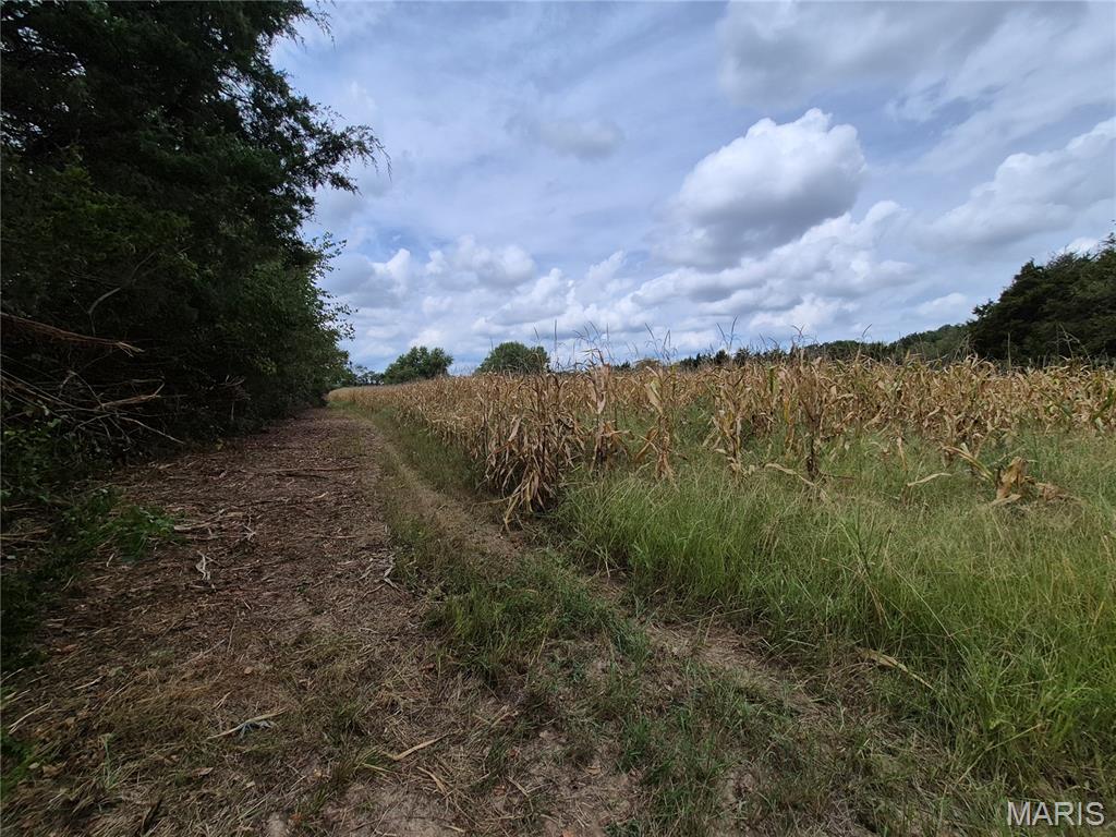 0 Russell Road Troy, MO 63379 - Photo 2 of 15 Gallery Image 2