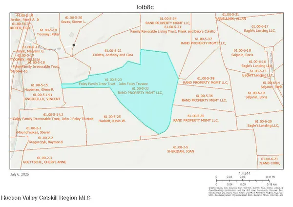 a view of a yard with plants