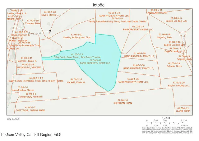 a view of a yard with plants