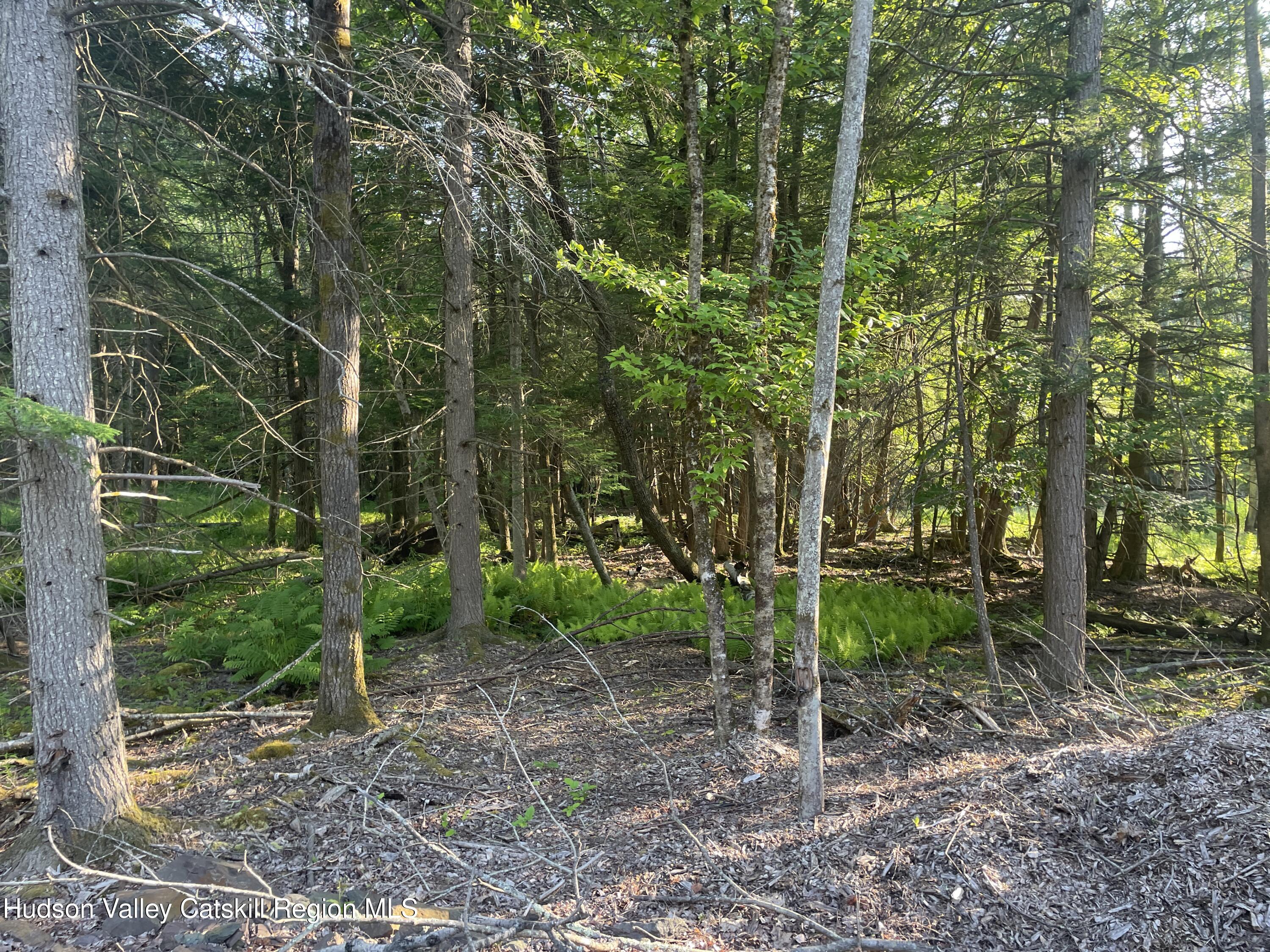Tbd Boulder Brook Road Windham, NY 12496 - Photo 12 of 57 a view of a backyard