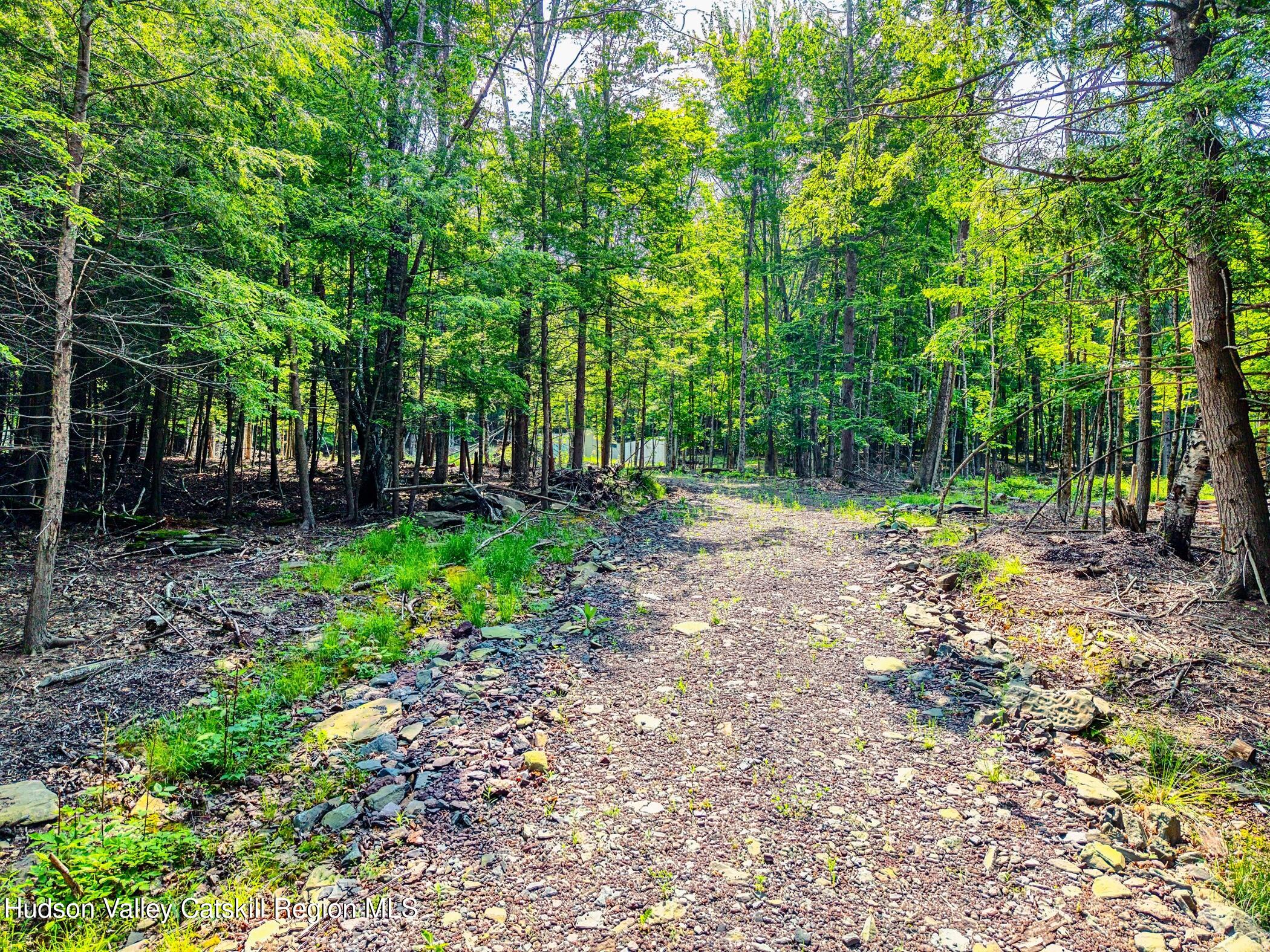 Tbd Boulder Brook Road Windham, NY 12496 - Photo 15 of 57 a backyard of a house with lots of green space