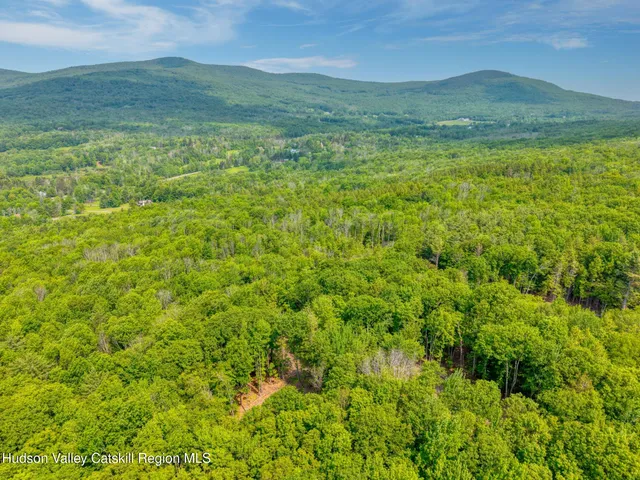 a backyard of a house with a tree