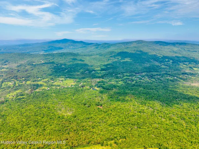 a backyard of a house with a tree