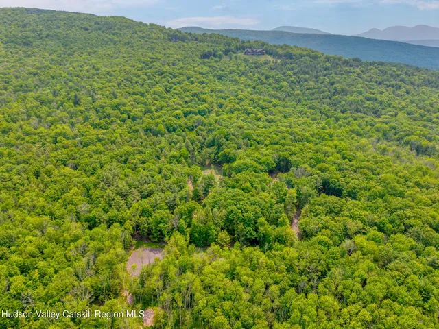 a view of a lush green forest with a mountain