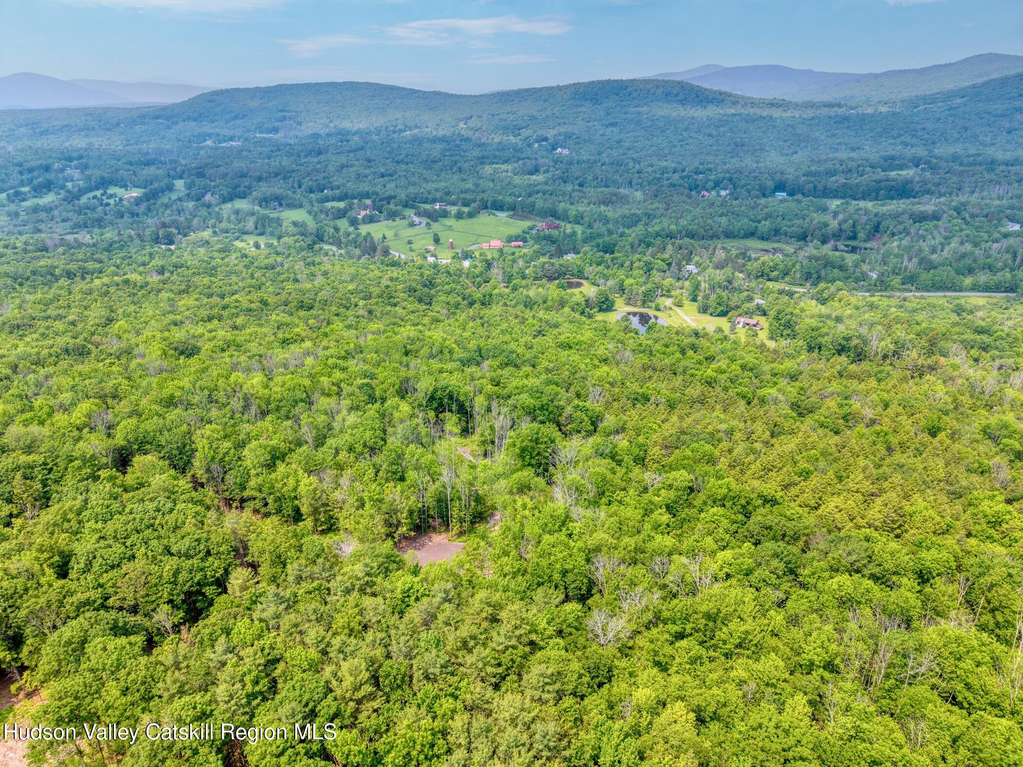 Tbd Boulder Brook Road Windham, NY 12496 - Photo 41 of 57 a view of a lush green forest with trees in the background