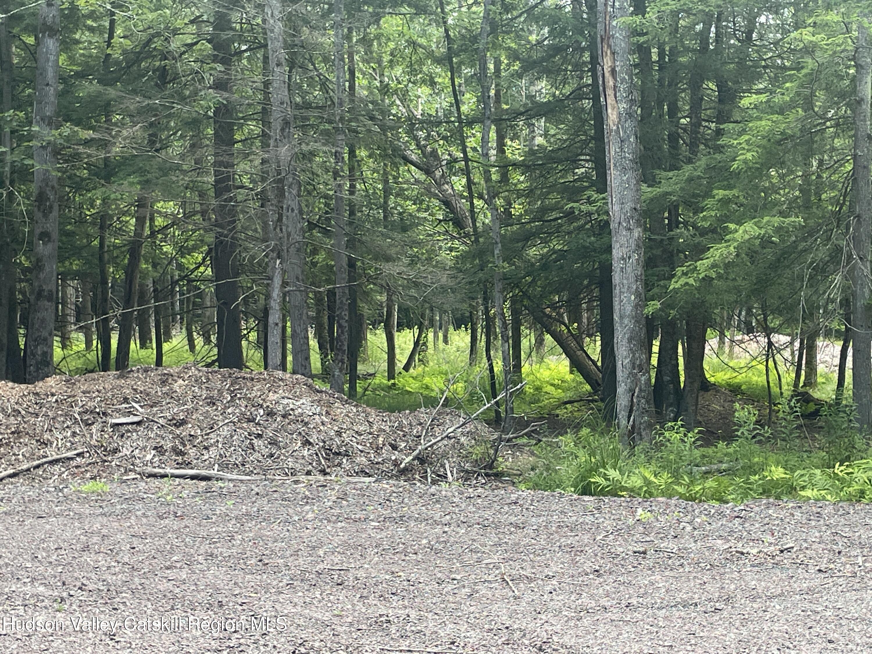Tbd Boulder Brook Road Windham, NY 12496 - Photo 5 of 57 a backyard of a house with lots of green space