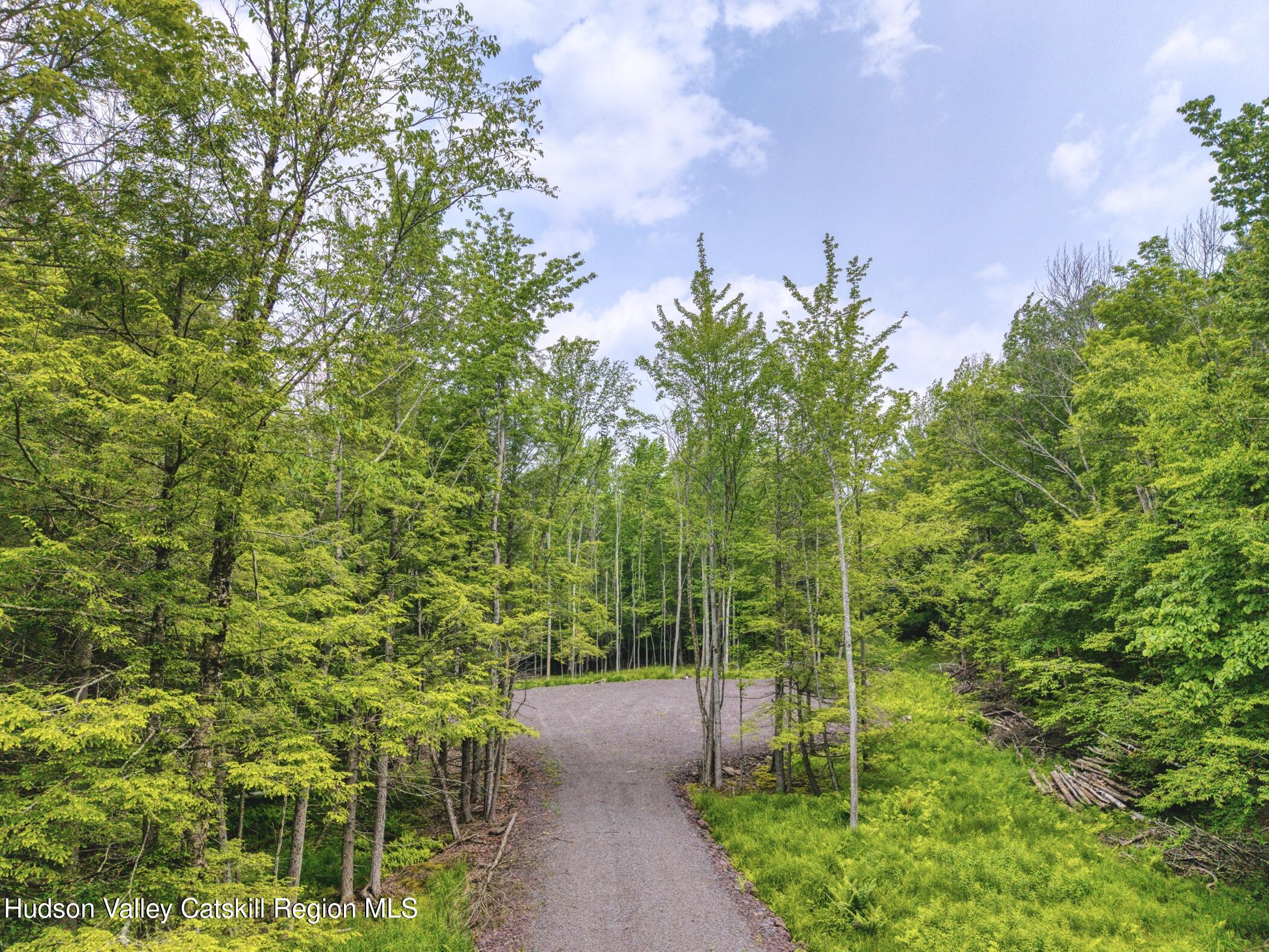 Tbd Boulder Brook Road Windham, NY 12496 - Photo 56 of 57 Image-76