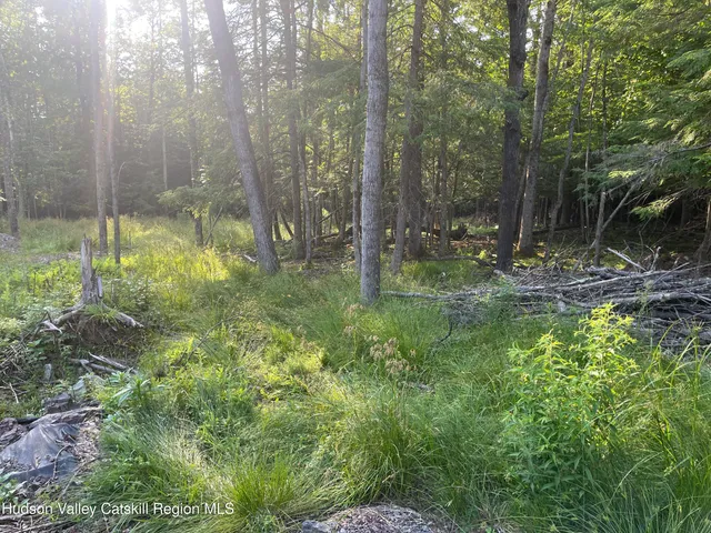 a view of outdoor space and garden