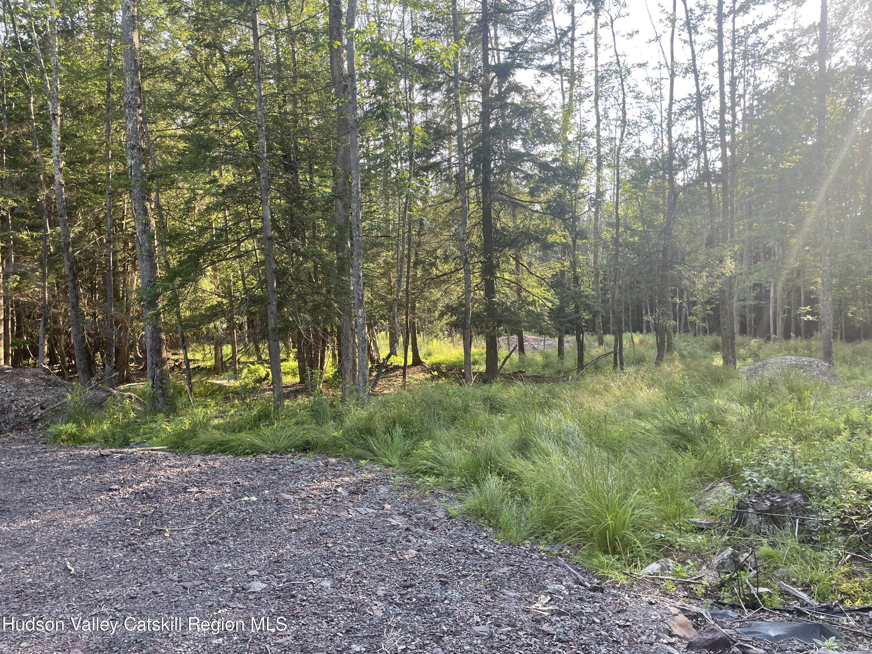 Tbd Boulder Brook Road Windham, NY 12496 - Photo 10 of 57 a view of outdoor space with trees
