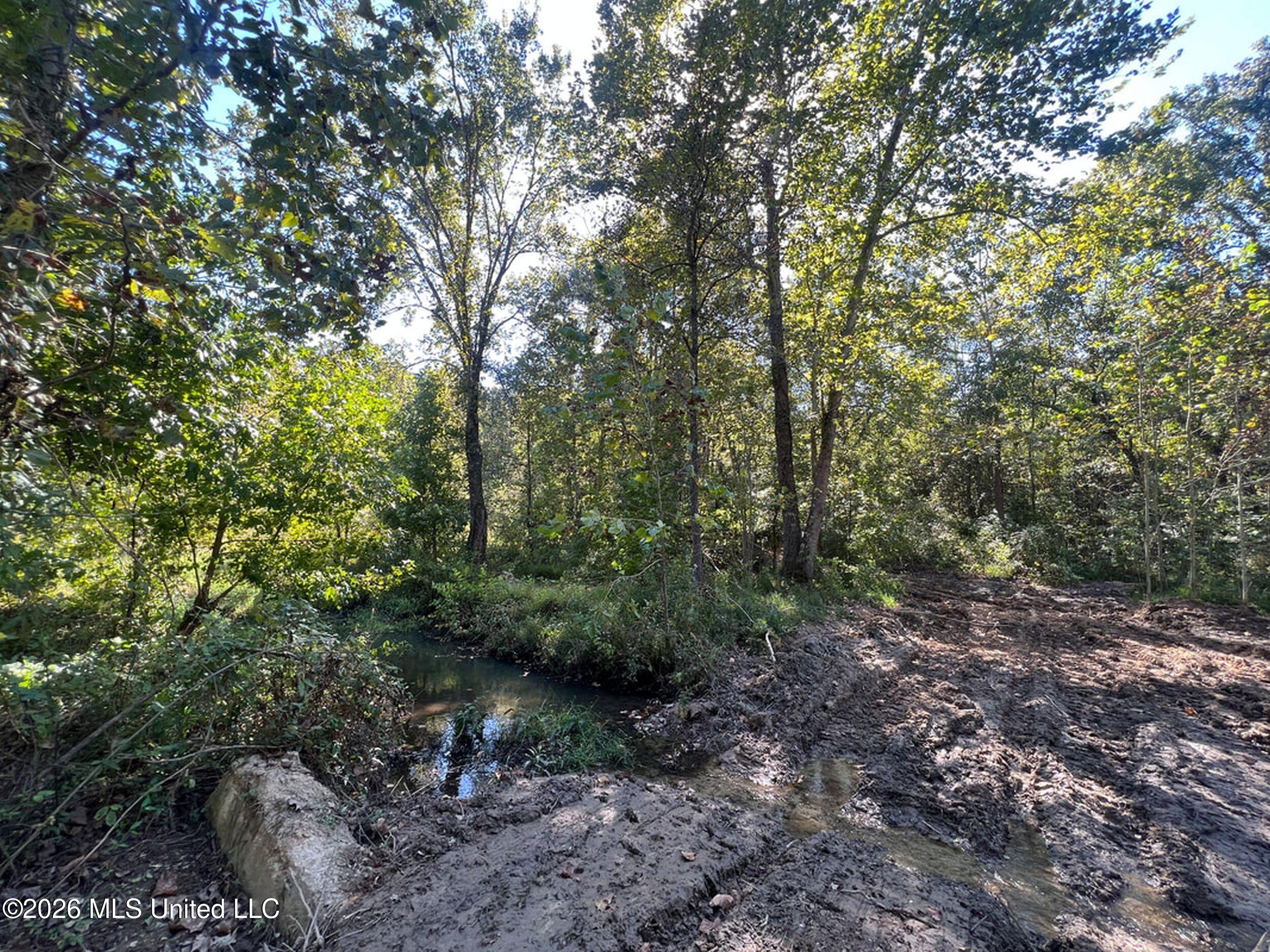 173 Cascilla Road Holcomb, MS 38940 - Photo 54 of 67 3csrdg57