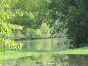 10-ac Flag Branch Road, Unit 3 Greeneville, TN 37743 - Photo 1 of 22 Photo 1