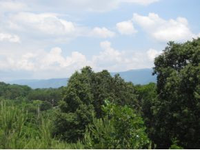 10-ac Flag Branch Road, Unit 3 Greeneville, TN 37743 - Photo 16 of 22 Photo 16