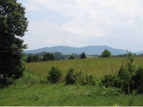10-ac Flag Branch Road, Unit 3 Greeneville, TN 37743 - Photo 17 of 22 Photo 17