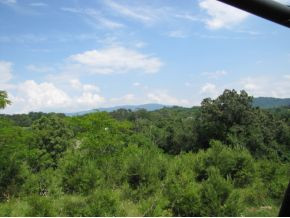 10-ac Flag Branch Road, Unit 3 Greeneville, TN 37743 - Photo 21 of 22 Photo 21