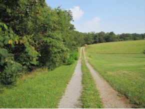 10-ac Flag Branch Road, Unit 3 Greeneville, TN 37743 - Photo 3 of 22 Photo 3