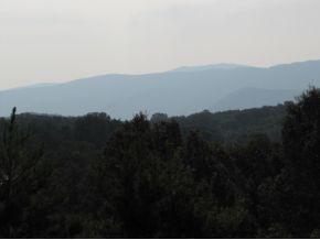 10-ac Flag Branch Road, Unit 3 Greeneville, TN 37743 - Photo 4 of 22 Photo 4