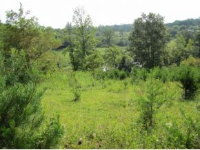 10-ac Flag Branch Road, Unit 3 Greeneville, TN 37743 - Photo 7 of 22 Photo 7