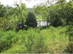 10-ac Flag Branch Road, Unit 3 Greeneville, TN 37743 - Photo 8 of 22 Photo 8