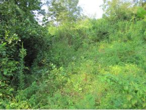10-ac Flag Branch Road, Unit 3 Greeneville, TN 37743 - Photo 10 of 22 Photo 10