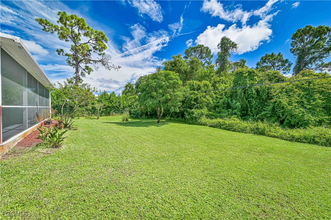 18217 Sycamore Road Fort Myers, FL 33967 - Photo 34 of 35 a view of a garden with a fountain