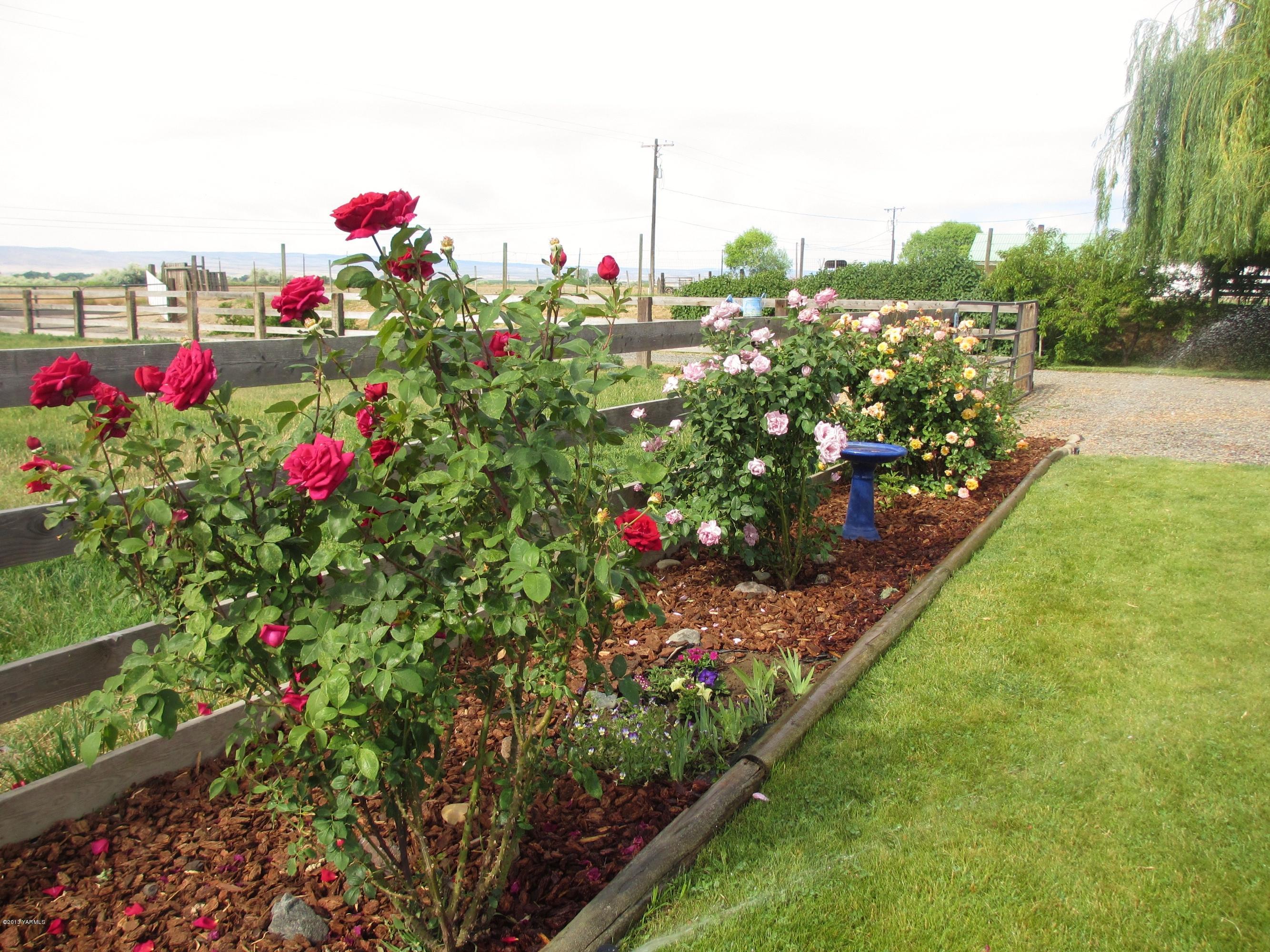 1231 Holaday Road Mabton, WA 98935 - Photo 21 of 29 a view of a potted flower in a yard with swimming pool