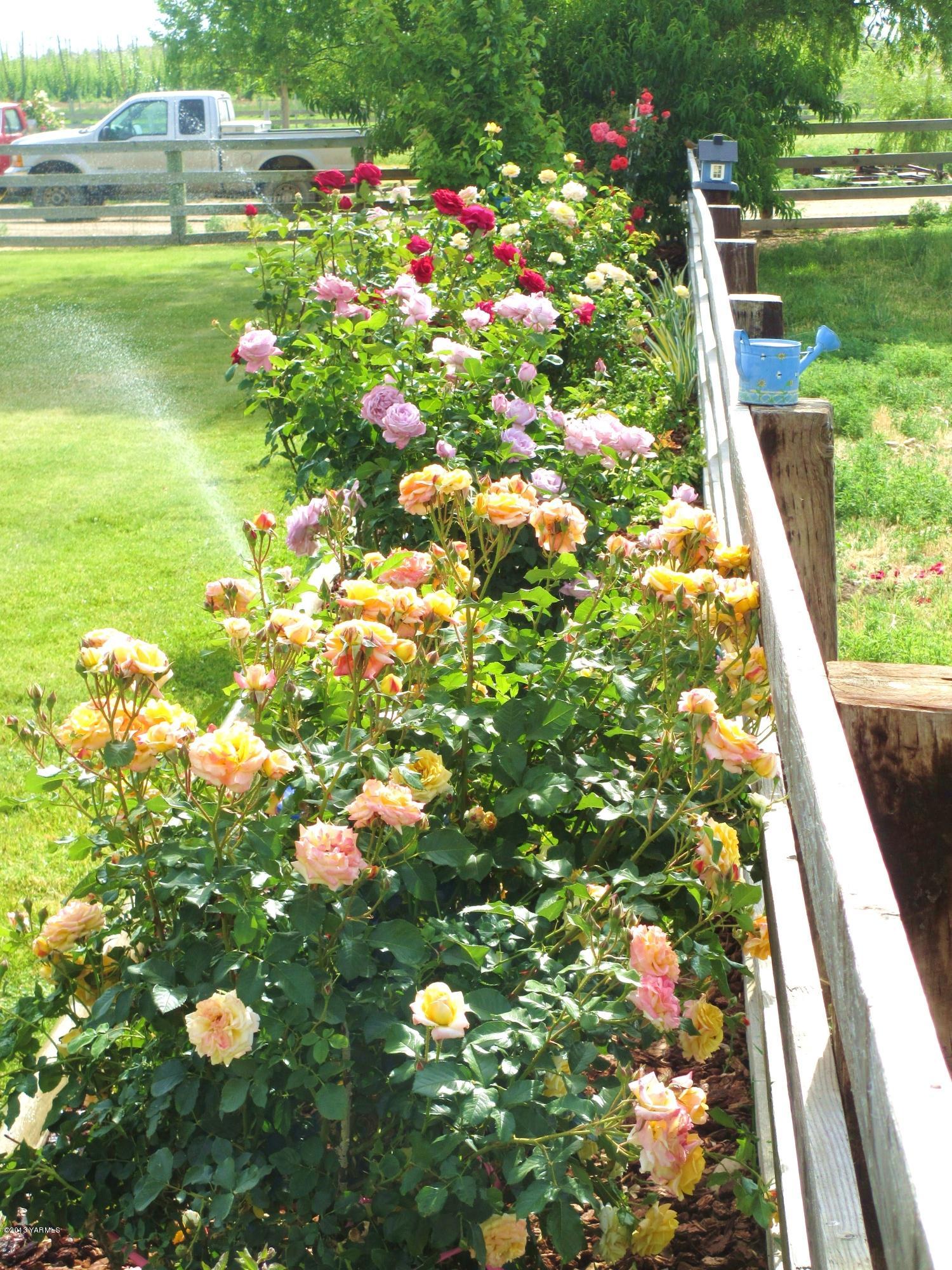 1231 Holaday Road Mabton, WA 98935 - Photo 26 of 29 a picture of flowers