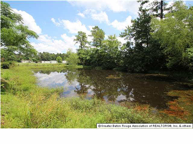 13742 Hammack Road Denham Springs, LA 70726 - Photo 4 of 20 Gallery Image 4