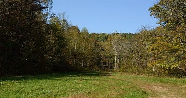 1 Anderson Branch Road Stanton, KY 40380 - Photo 11 of 27 Photo 11