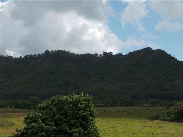 444-1 Puuopae Road Kapaa, HI 96746 - Photo 9 of 13 Gallery Image 9