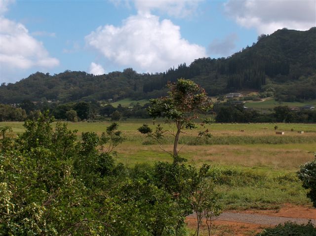 444-1 Puuopae Road Kapaa, HI 96746 - Photo 10 of 13 Gallery Image 10