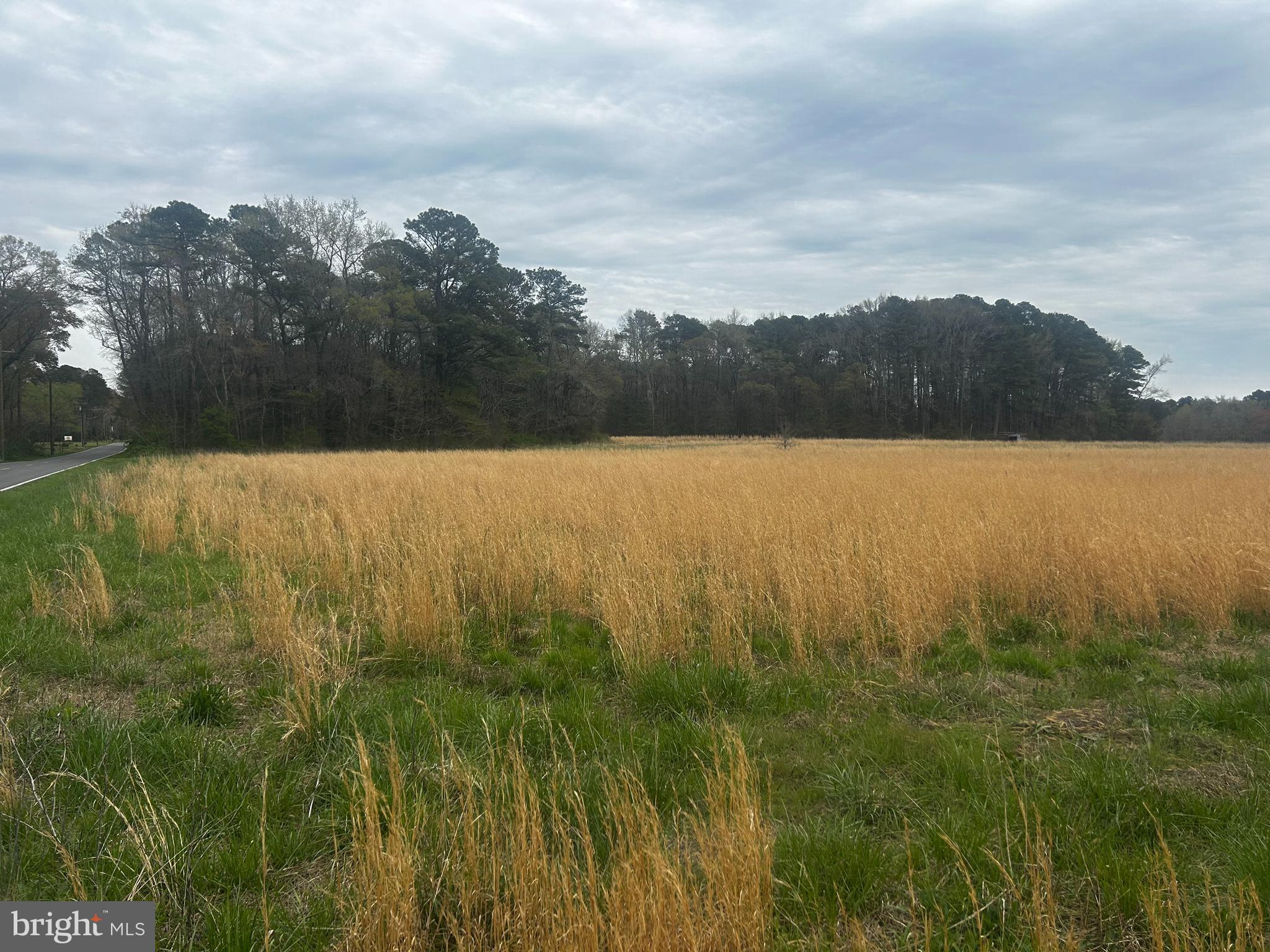 0 Quail Salisbury, MD 21804 - Photo 11 of 14 a view of an lake and a yard