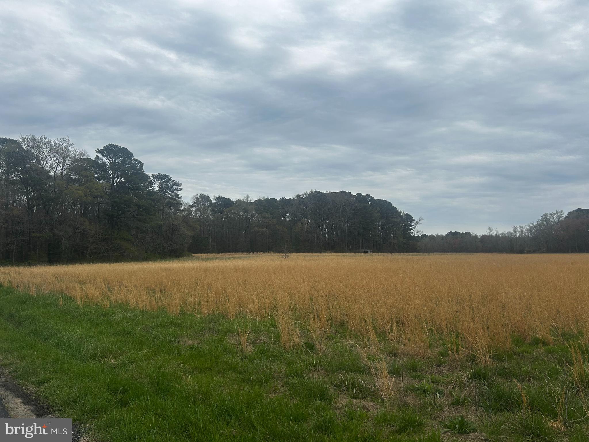 0 Quail Salisbury, MD 21804 - Photo 12 of 14 a view of an ocean and mountain