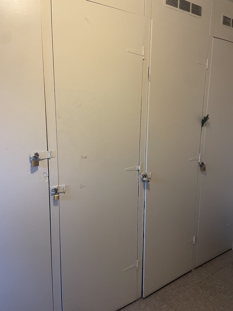 10403 South Keating Avenue, Unit 1C Oak Lawn, IL 60453 - Photo 11 of 12