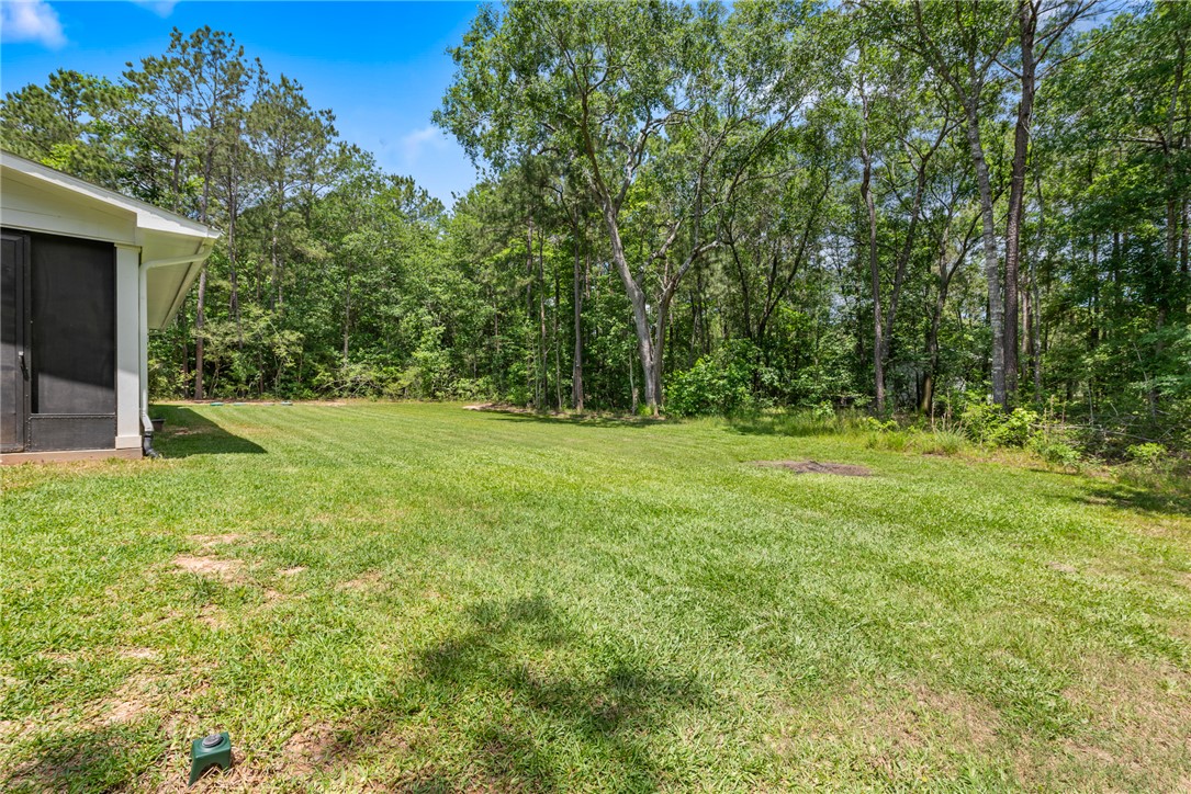 8729 Nathan Drive Waller, TX 77484 - Photo 42 of 48 View of green lawn featuring a forest view