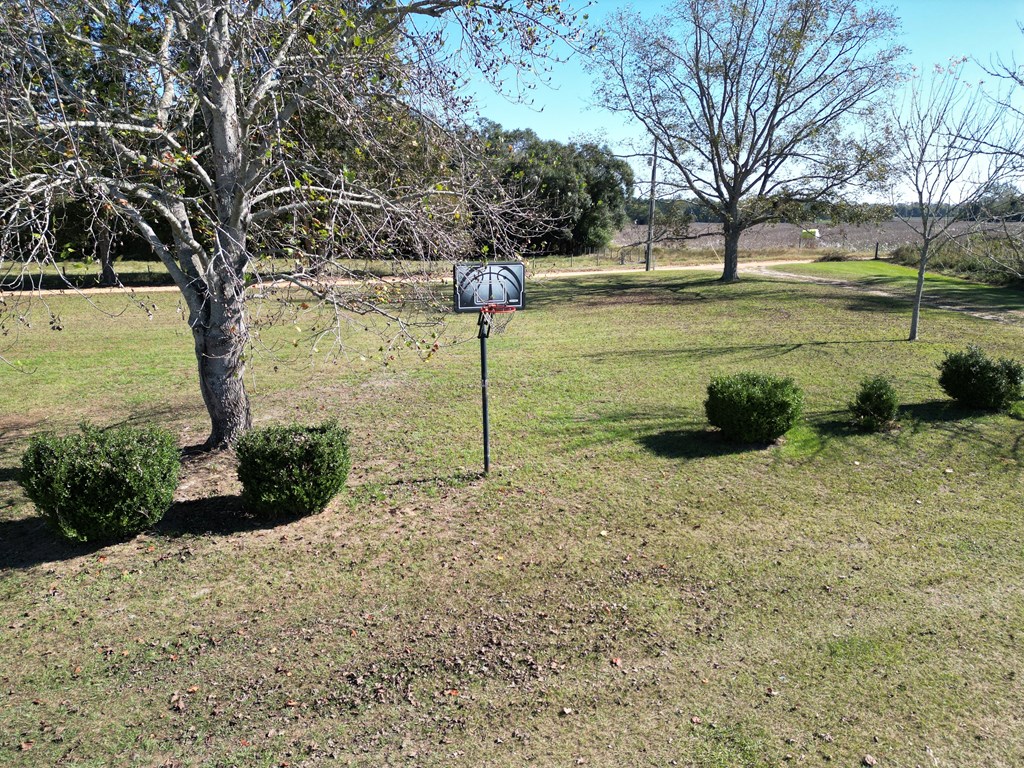 870 Wayne Road Cottonwood, AL 36320 - Photo 23 of 74