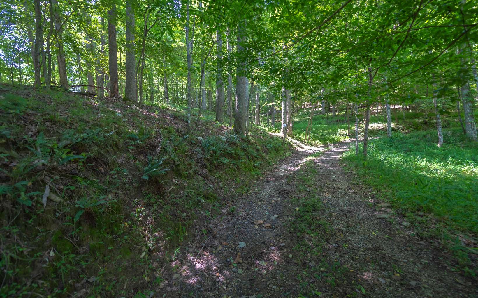 Daves Road Morganton, GA 30560 - Photo 1 of 1 Main View