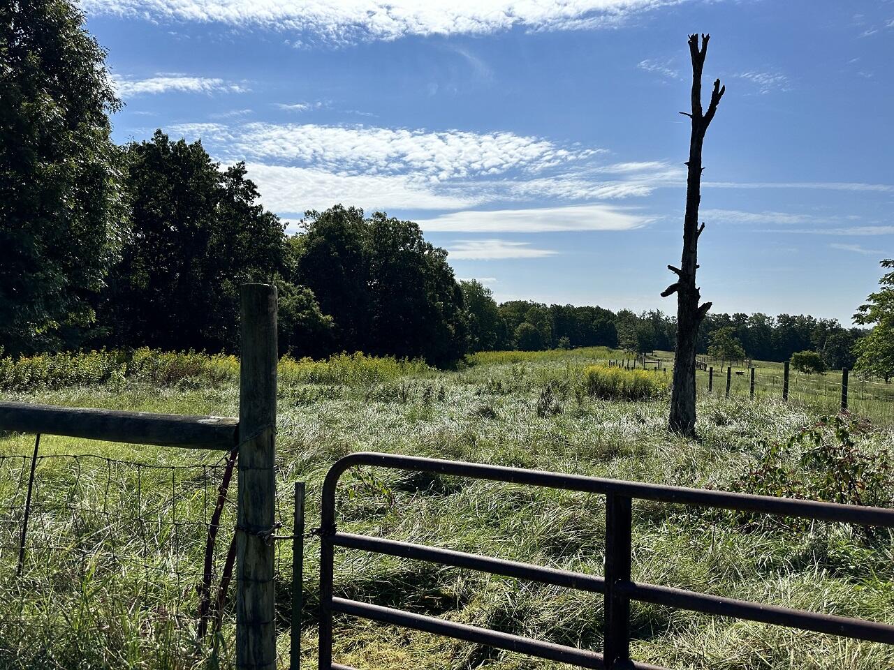 22 Grassland Drive Sandy Level, VA 24161 - Photo 4 of 9 IMG_7755
