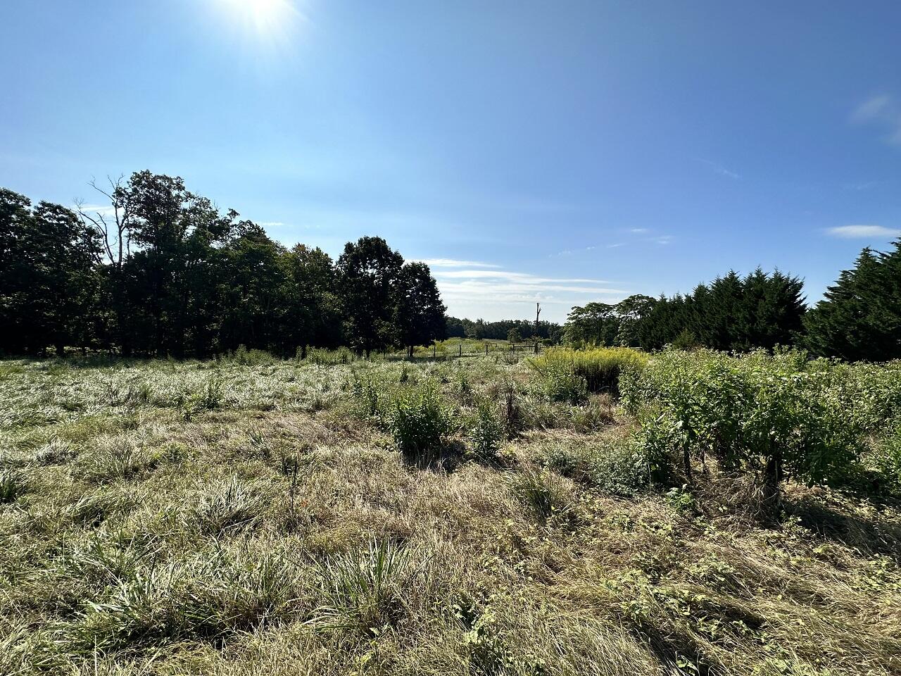 22 Grassland Drive Sandy Level, VA 24161 - Photo 5 of 9 IMG_7753